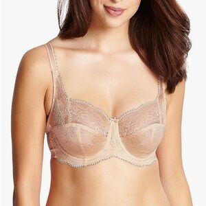 Chai Tan Panache Clara Bra - 32F